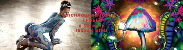 jwh Алзамай