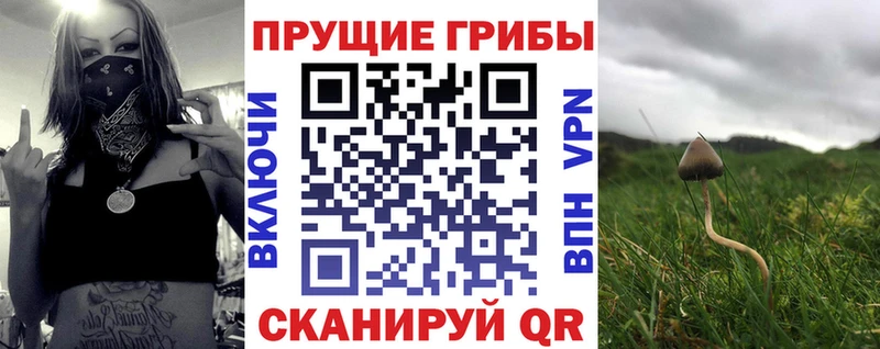 Галлюциногенные грибы Magic Shrooms Княгинино